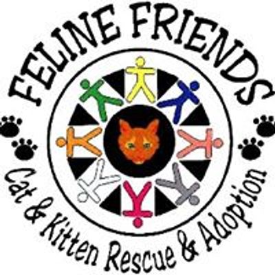 Feline Friends of Olympia WA