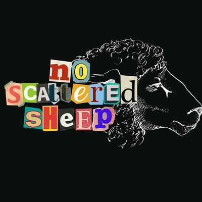 No Scattered Sheep LLC