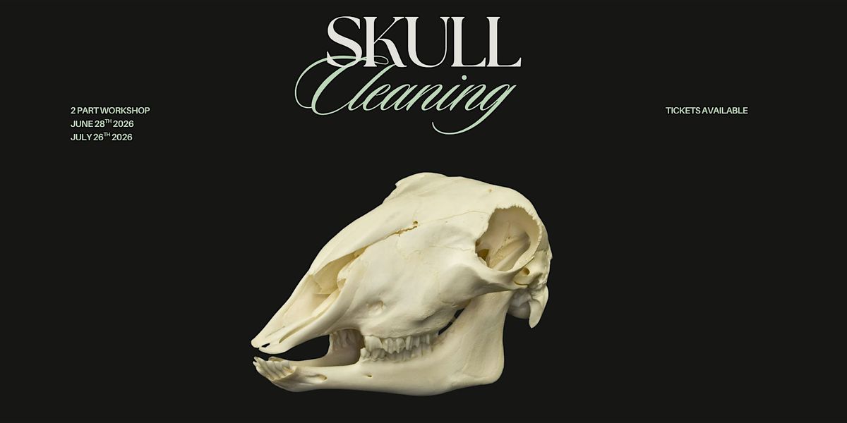 Sheep Skull Cleaning Workshop - 2 Days
