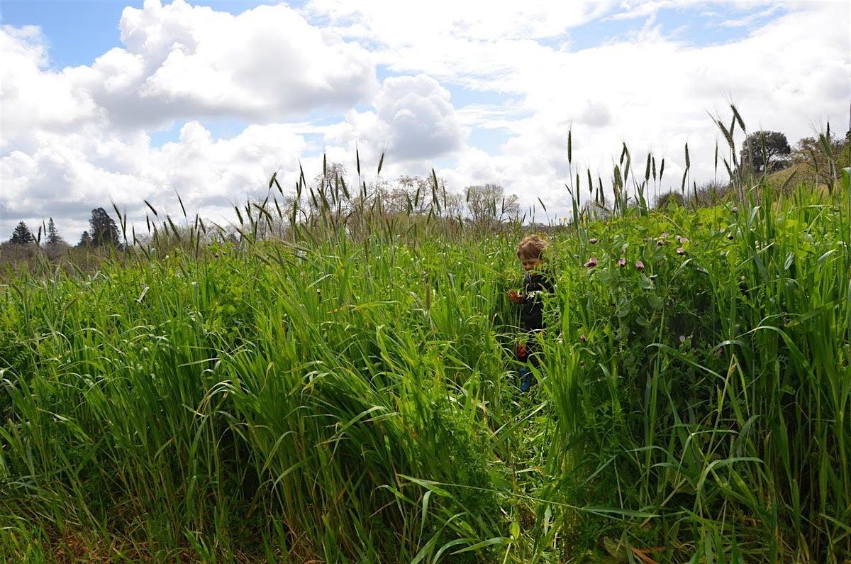 Family Farm Walk at Farm Discovery