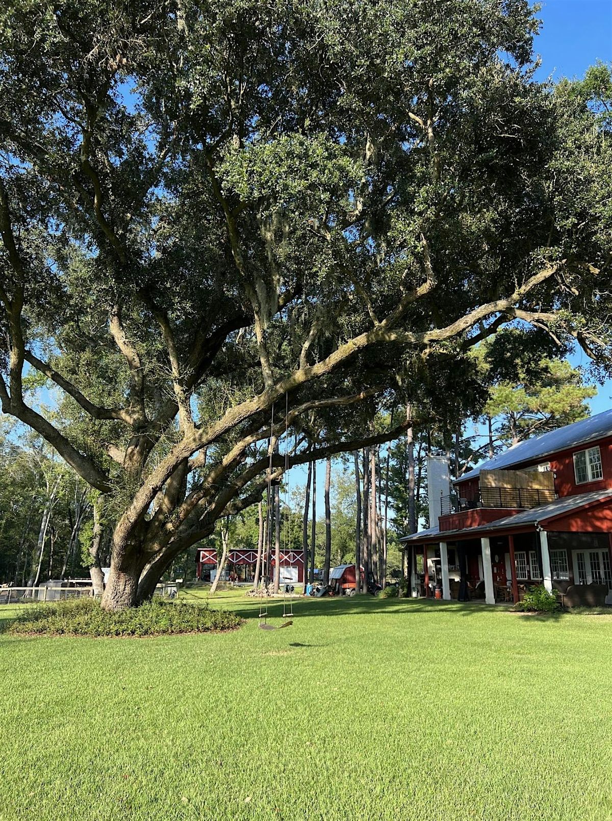 Yoga Under the Oaks