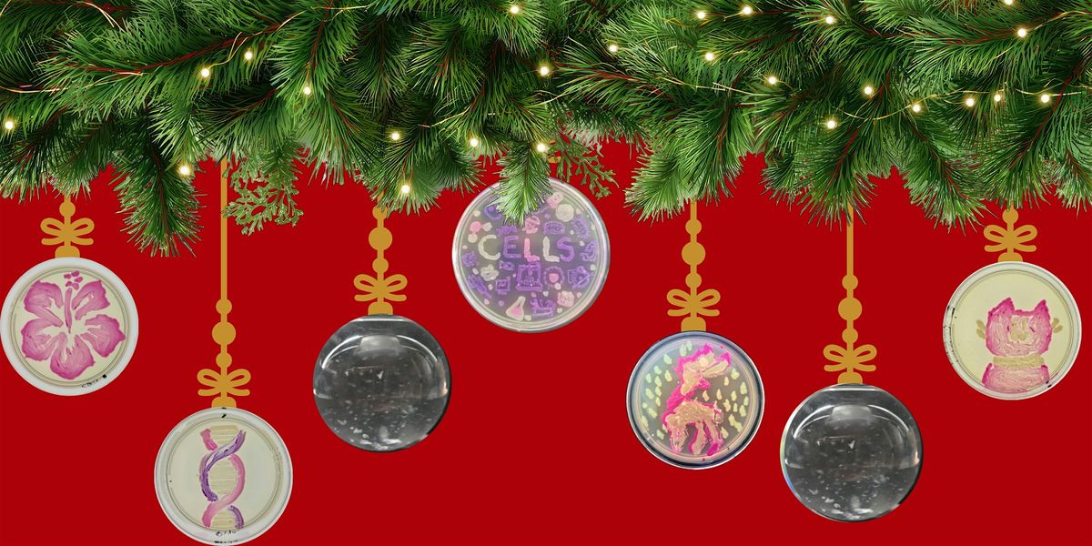 Make Holiday Ornaments: Agar & Micropipetting Art