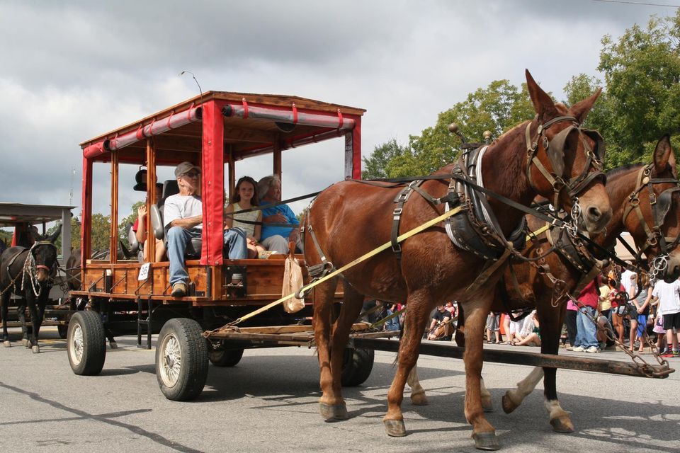 49th Annual Mule Day Winfield Chamber of Commerce September 22, 2023