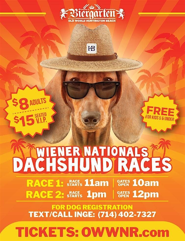 Old World Wiener Nationals "Wiener Wonderland" Race
