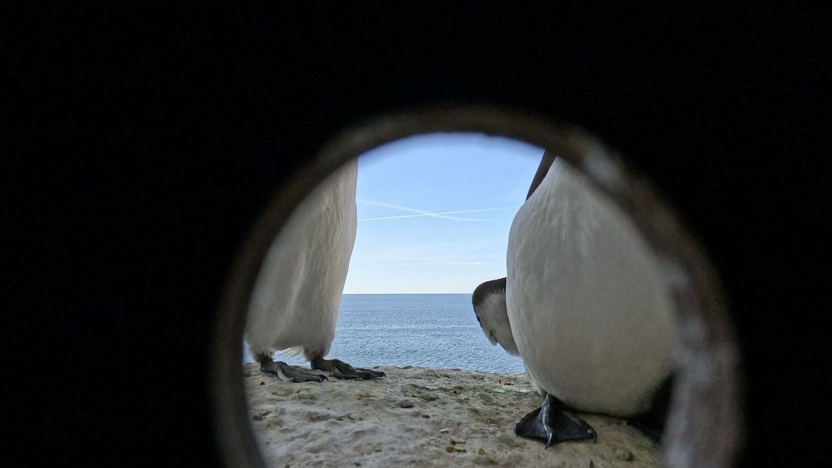 Un canto del peque\u00f1o mar - Helle Siljeholm