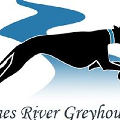 James River Greyhounds