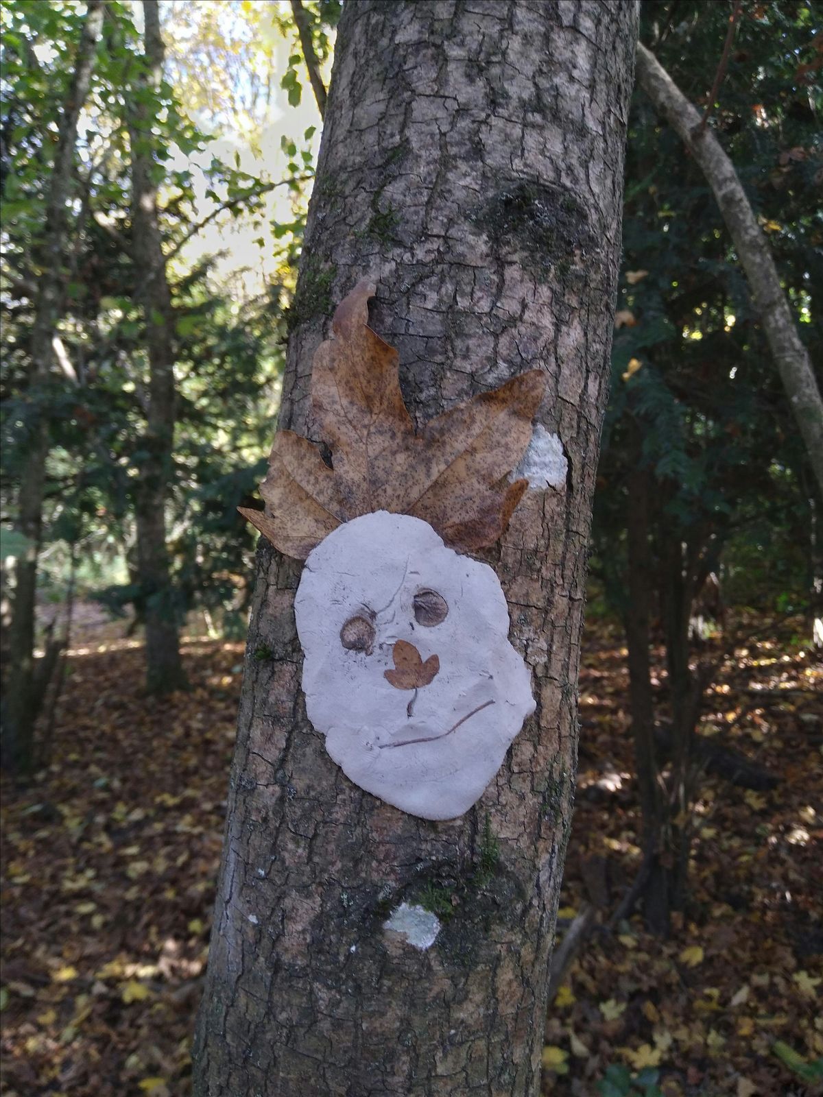 Testwood Lakes Nature Babies and Tots