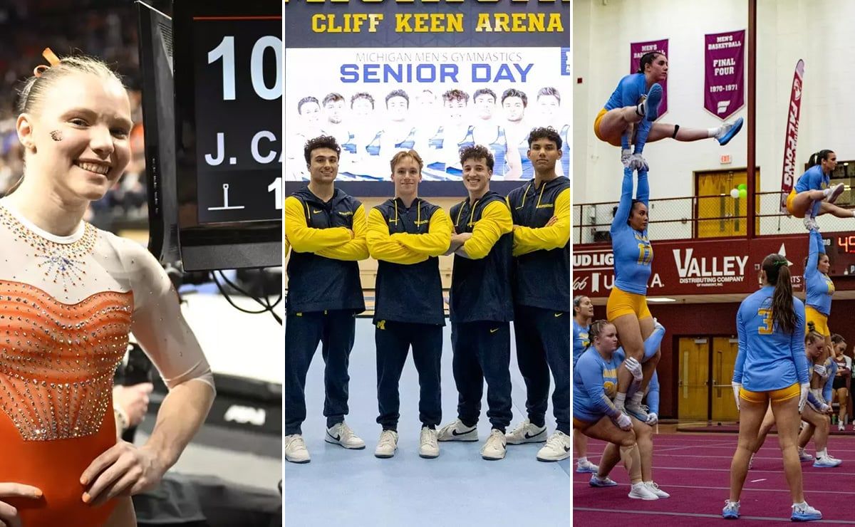 Parking LIU Sharks at Missouri State Bears Mens Basketball