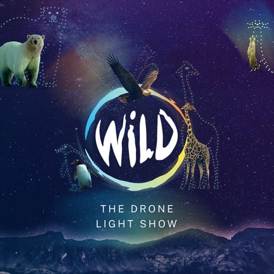 WILD: The Drone Light Show - Brighton & Hove
