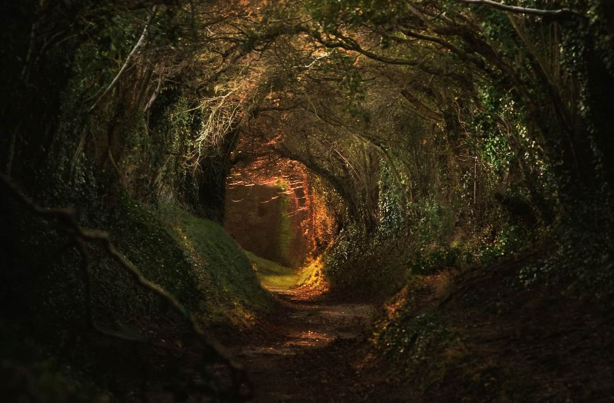 Parking Daphne in Concert - Seattle