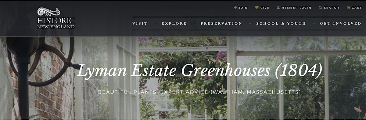 Virtual Program - Houseplants 101