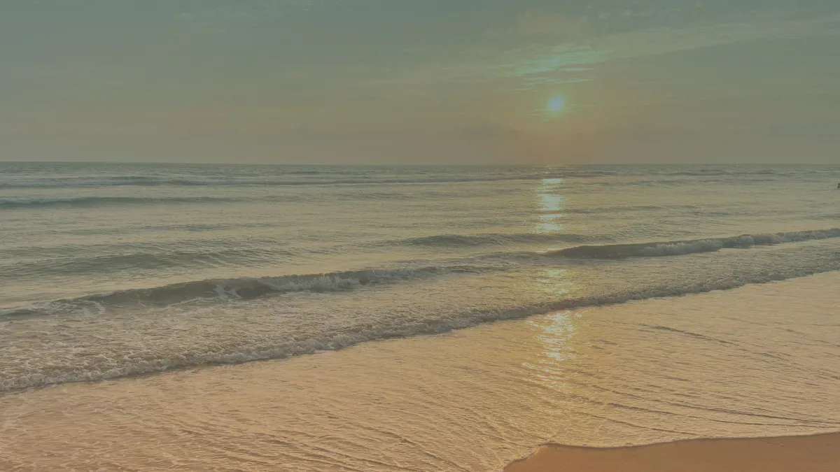 Wheeland Brothers in Fort Lauderdale