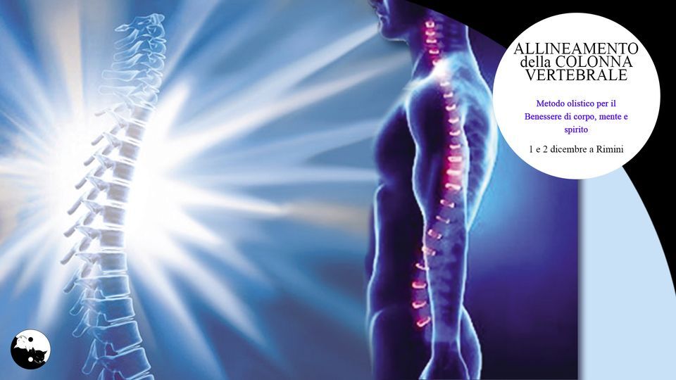 Lettino Da Massaggio Pilates HLEF - Correttore Posturale, Schiuma EPP, Per Mal Di Schiena - Foto 5