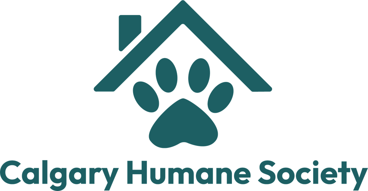 Animal Apprentices Winter Club (ages 7-9)