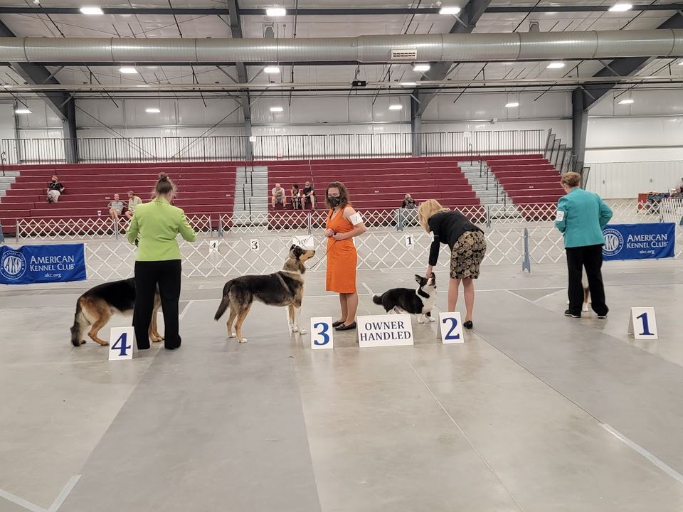 Cheyenne Kennel Club Annual Show Event Center at Archer, Cheyenne, WY