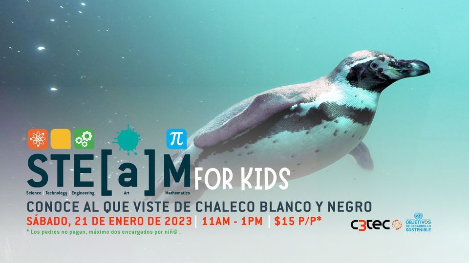 Steam for kids: Conoce al que viste de chaleco blanco y negro at Centro ...