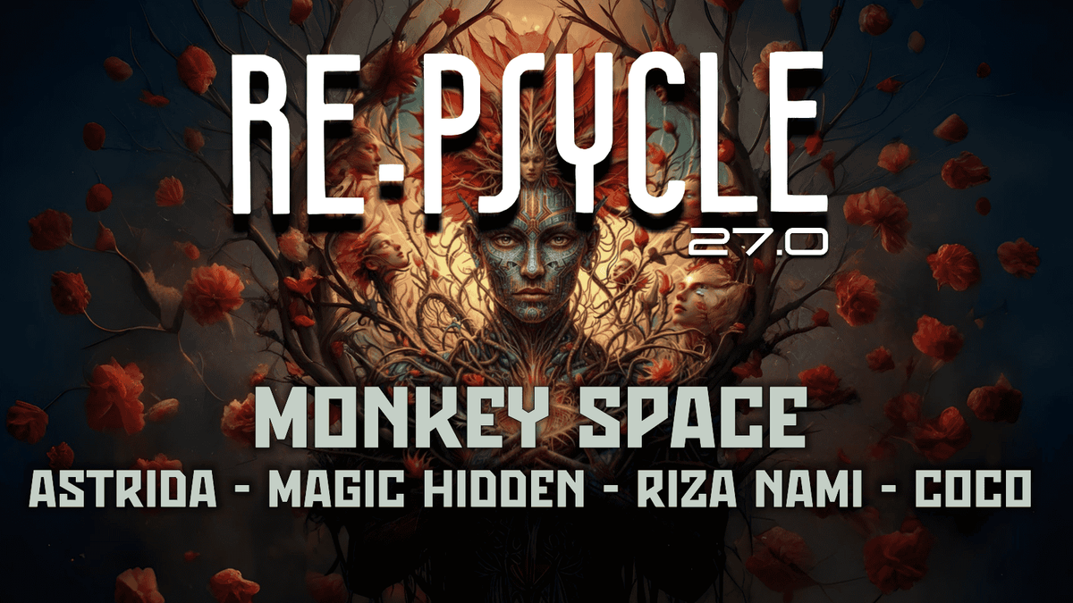 RE-PSYCLE 27.0