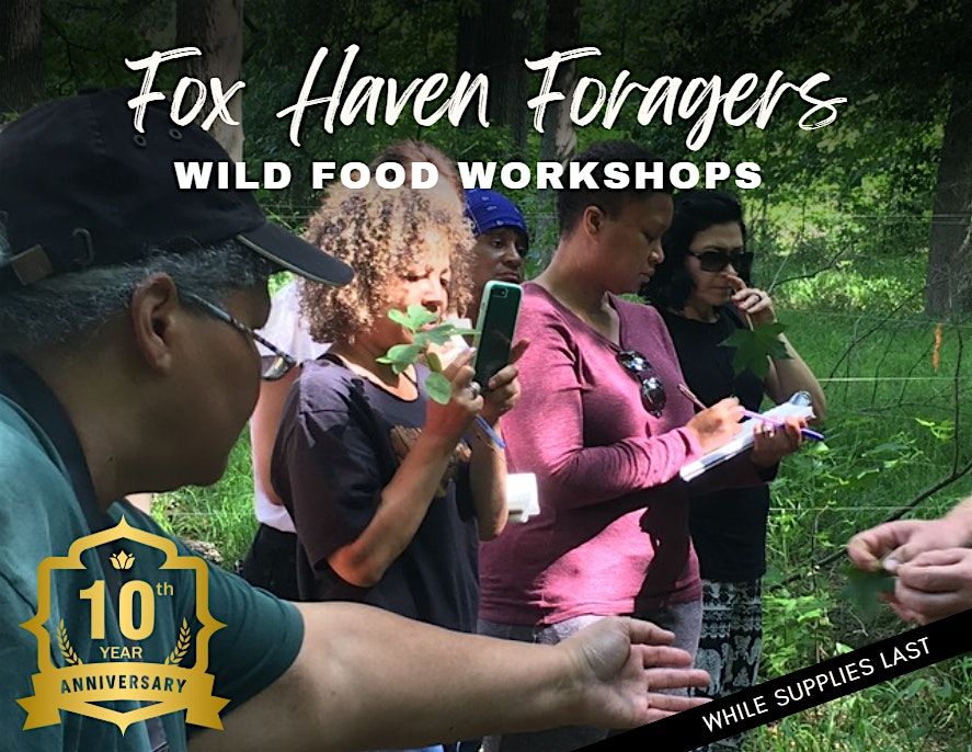 Fox Haven Foragers: Year-Round Wild Food Workshops