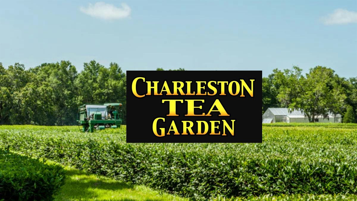 Tea Time in the Lowcountry