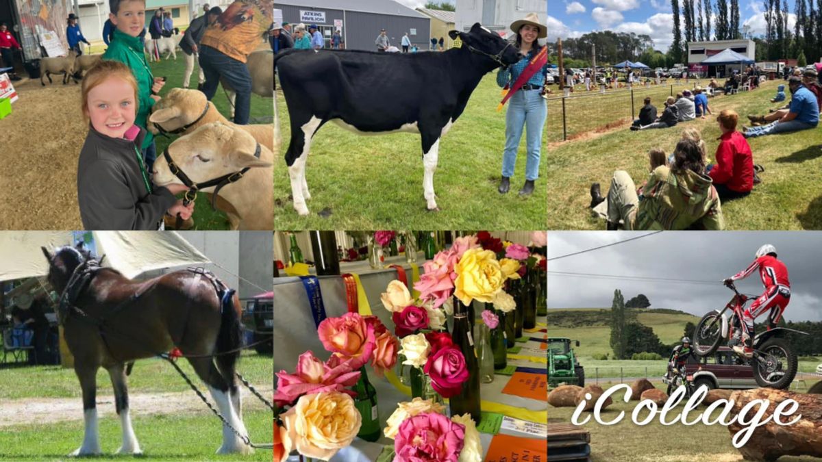 Community Bank Deloraine & Districts 2024 Deloraine Show Highland