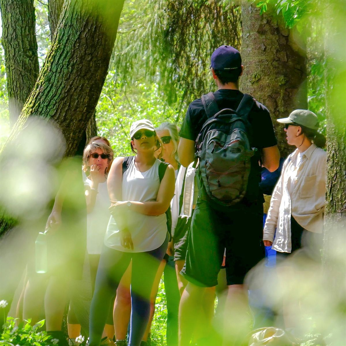 Foraging Course in Shropshire