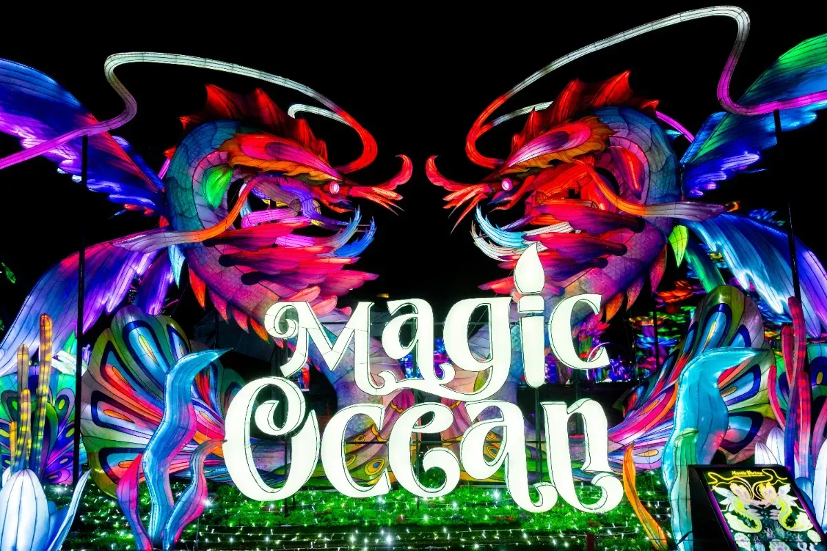 PARKING   Tianyu Lights Festival with Marcus Miller