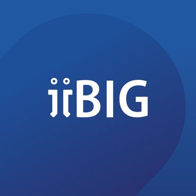 International Institute of Business Information