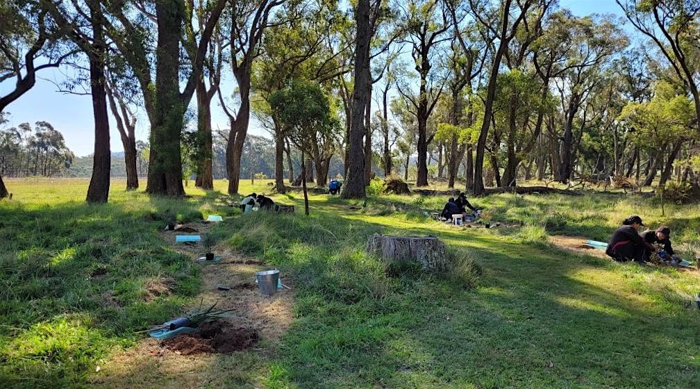 Planting Morning - Restore Habitat while creating a therapy path at 674 ...