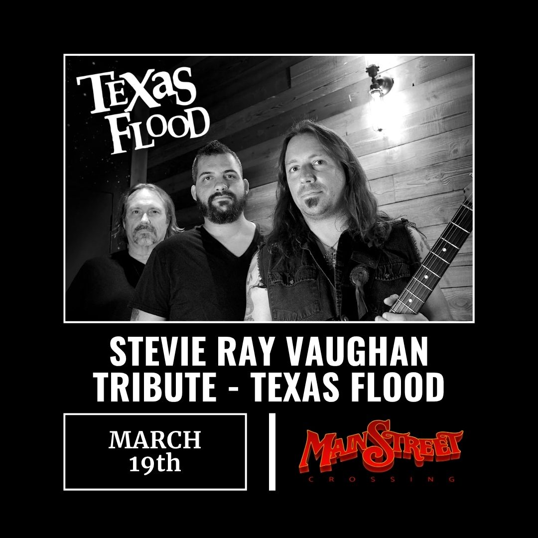 Stevie Ray Visited - A Tribute To Stevie Ray Vaughan