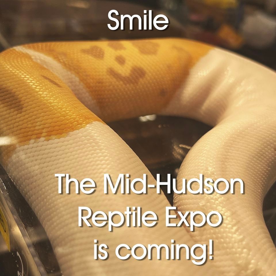 Mid-Hudson Reptile Expo