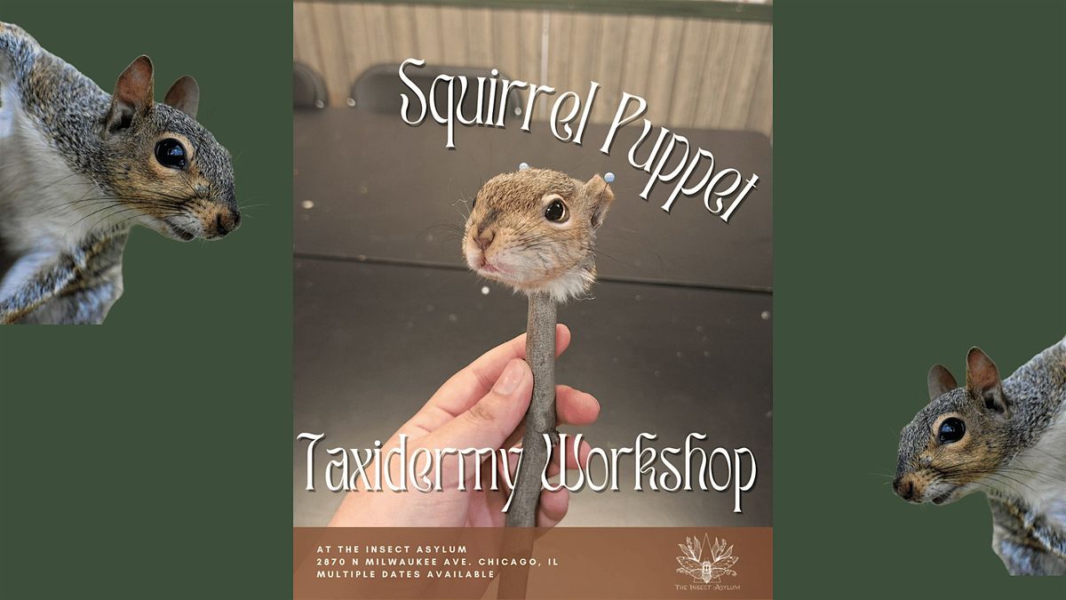 Squirrel Puppet Taxidermy Workshop