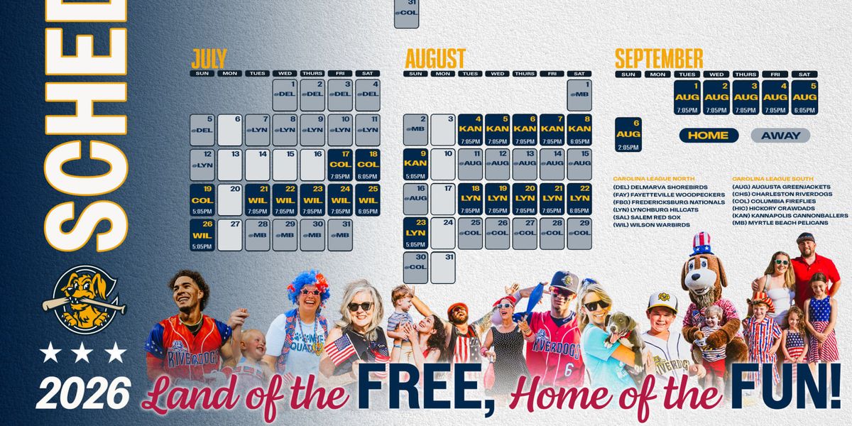 Delmarva Shorebirds at Fredericksburg Nationals