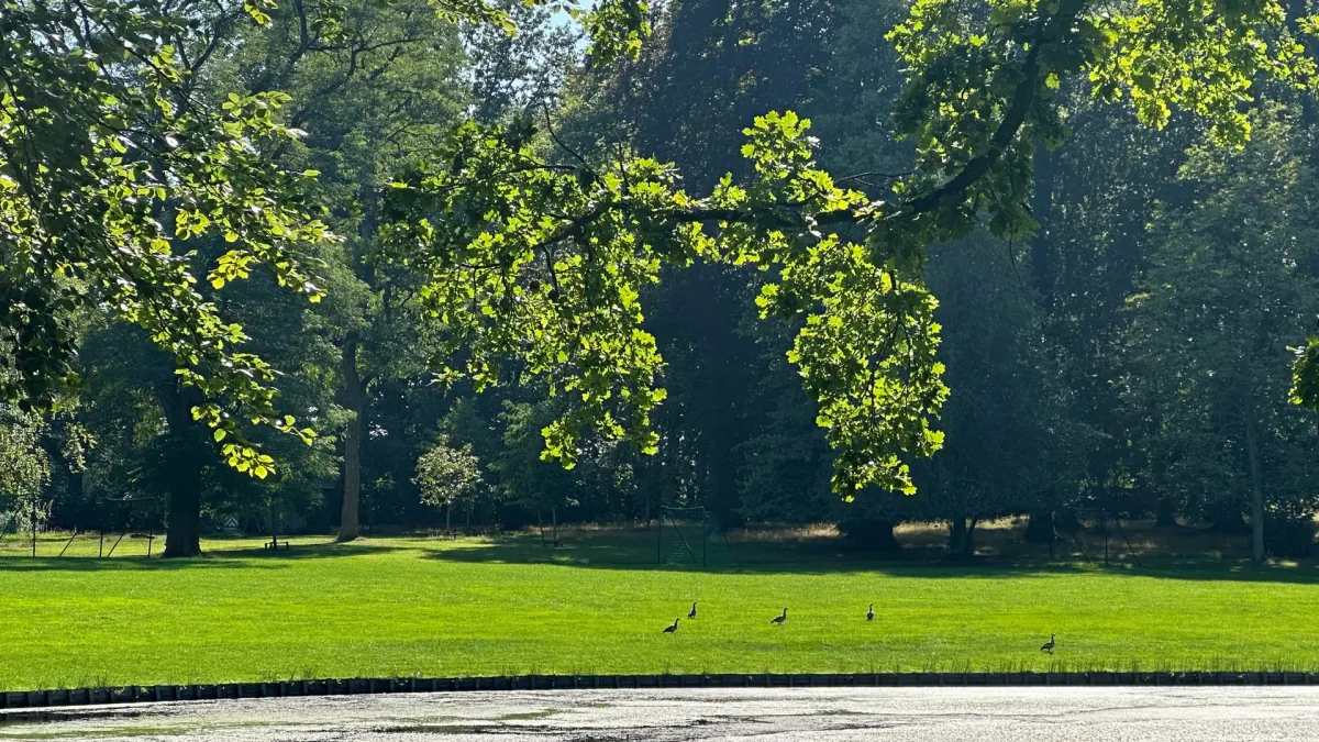 Absynthe Minded in Mortsel