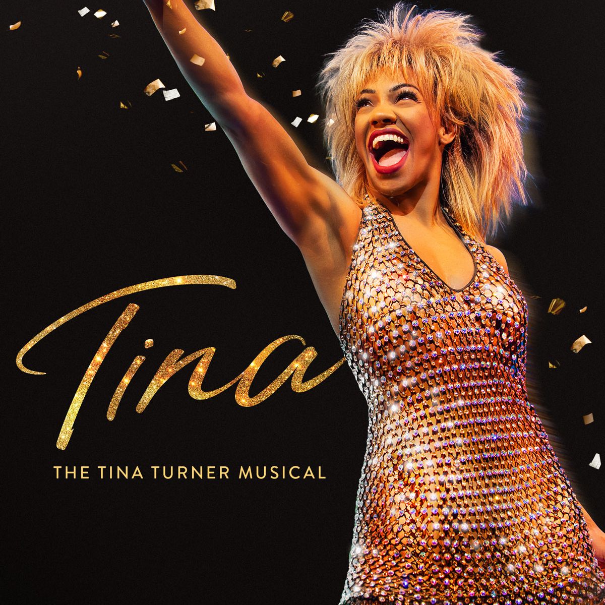 TINA LIVE - The Tina Turner Experience at Capitole Theatre