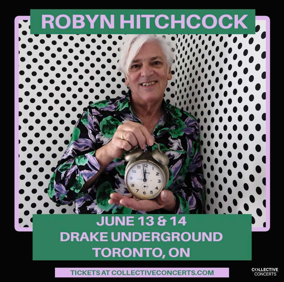 Robyn Hitchcock at The Neptune Theatre