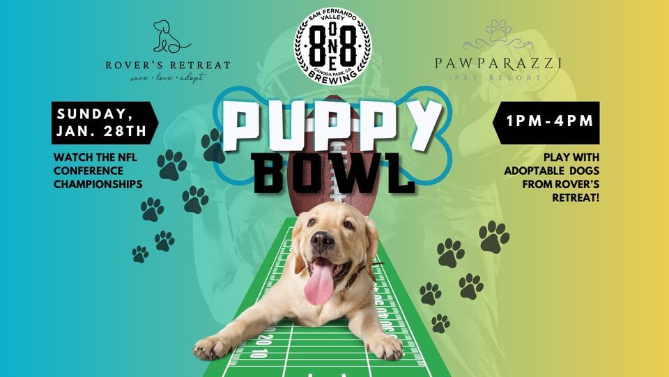 PUPPY BOWL Adoption Event at 818 Brewing, with Rovers Retreat