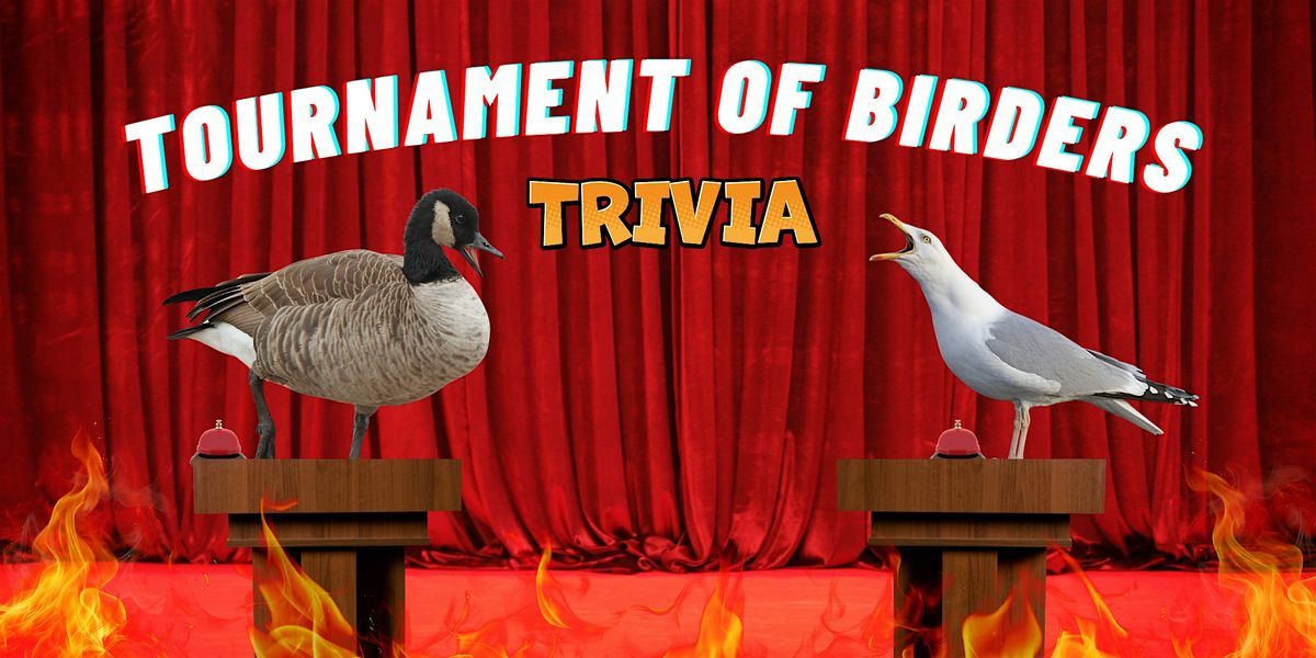 Tournament of Birders