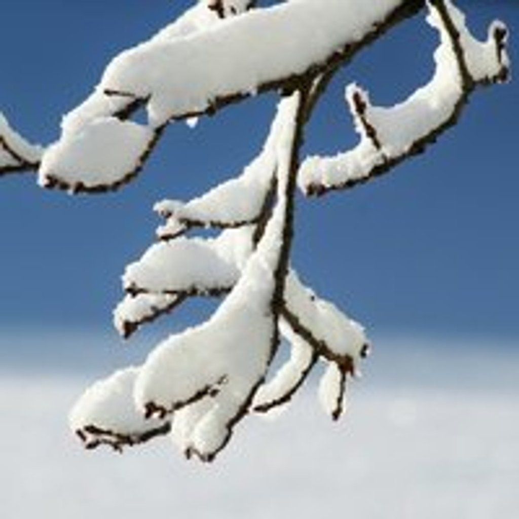 Conscious Connected Breathwork with Lyndsey & Anna