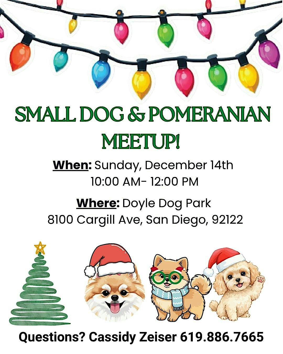 Small Dog and Pomeranian Meetup