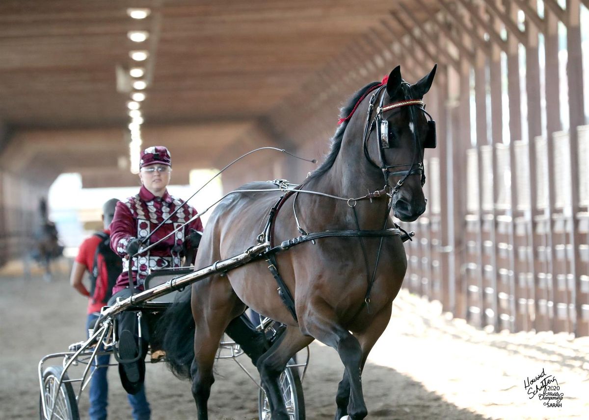 World Championship Horse Show at Freedom Hall-KY