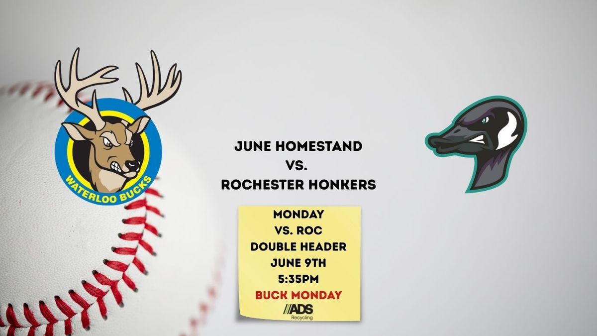 Rochester Honkers vs. Waterloo Bucks
