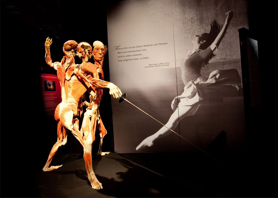 Bodies - The Exhibition at Luxor Hotel and Casino