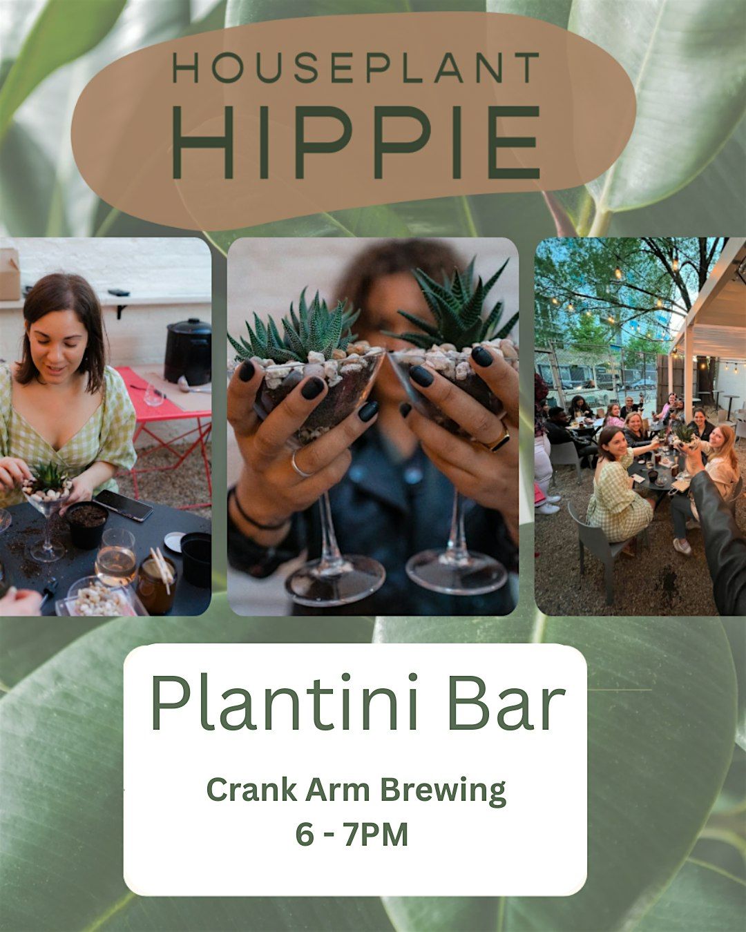 Plantini Bar at Crank Arm Brewing