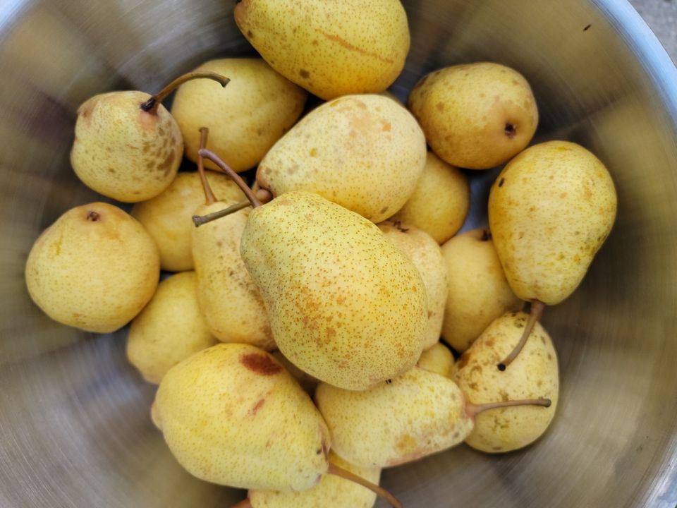 2023 Back To School Market Dunkerton Farmer's Market August 28, 2023