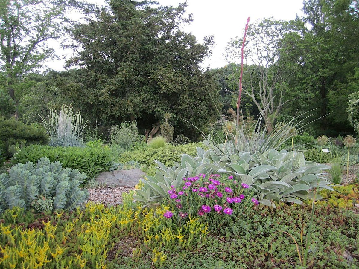 Gardener's Workshop: Gardening in Late Spring