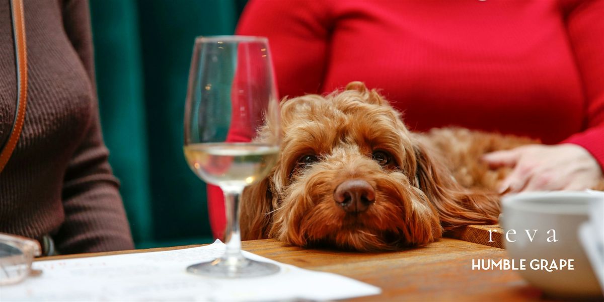 Paws & Pours: Wine Tasting Social For Dog Lovers