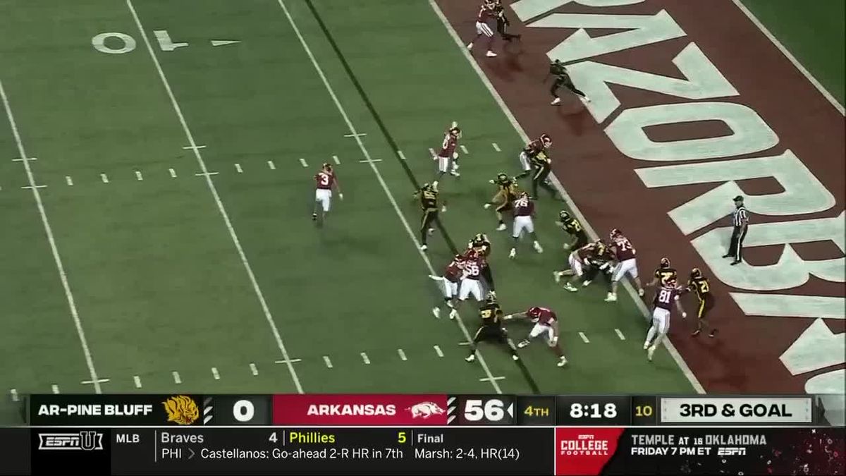 Arkansas Pine Bluff Golden Lions at Arkansas Razorbacks Baseball