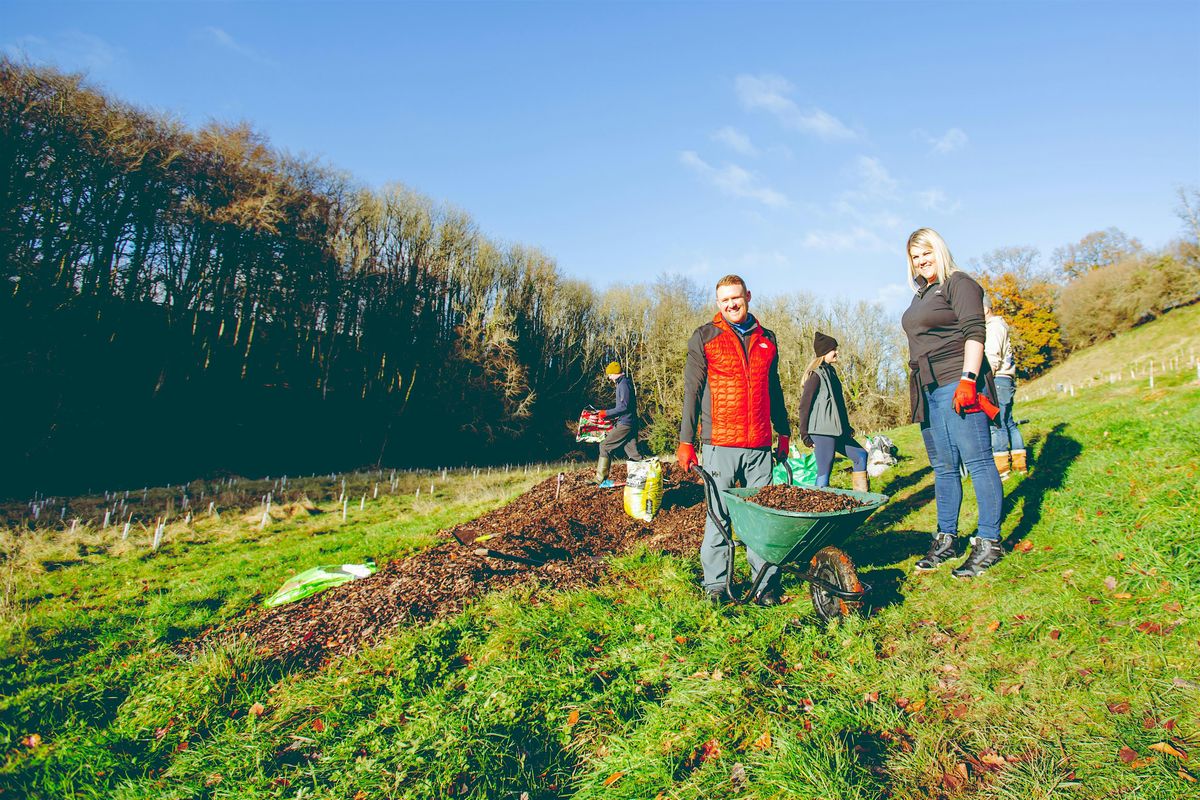 9Trees Volunteer Woodland Day - Derbyshire
