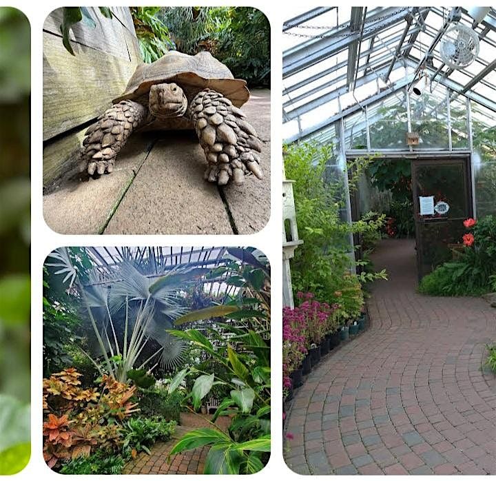 Mental Health Awareness Meetup: Conservatory + Optional Walk