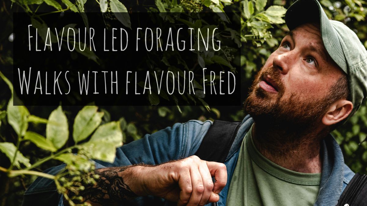 Flavour-Led Foraging Walk, History, Folklore & Wild Food - FUNGI FOCUSED